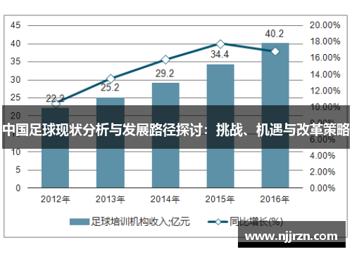 中国足球现状分析与发展路径探讨：挑战、机遇与改革策略