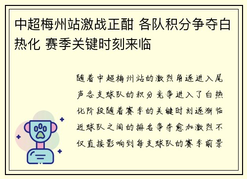 中超梅州站激战正酣 各队积分争夺白热化 赛季关键时刻来临